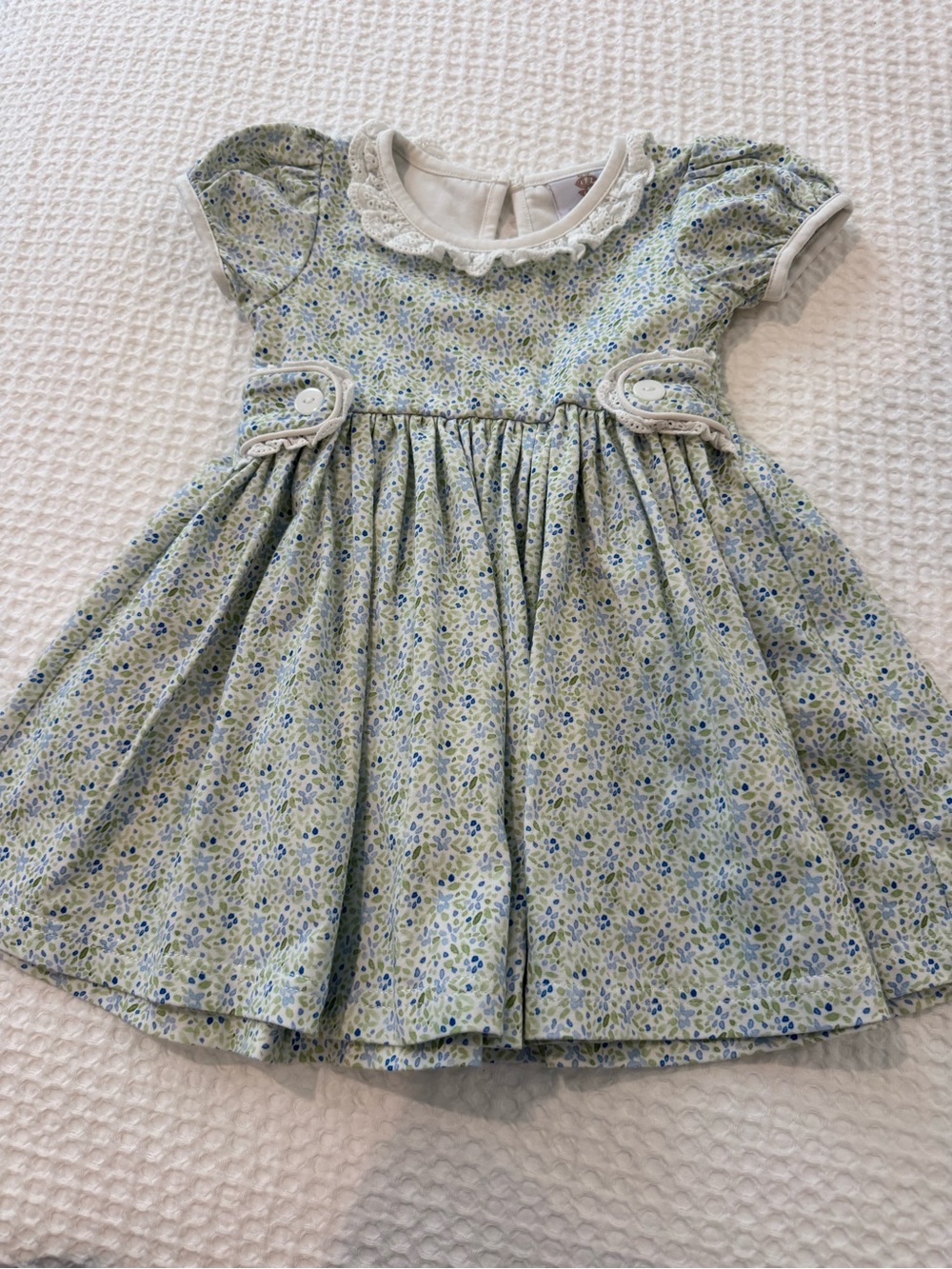 Swoon Boutique Green and Blue Floral Lace-Collar Dress